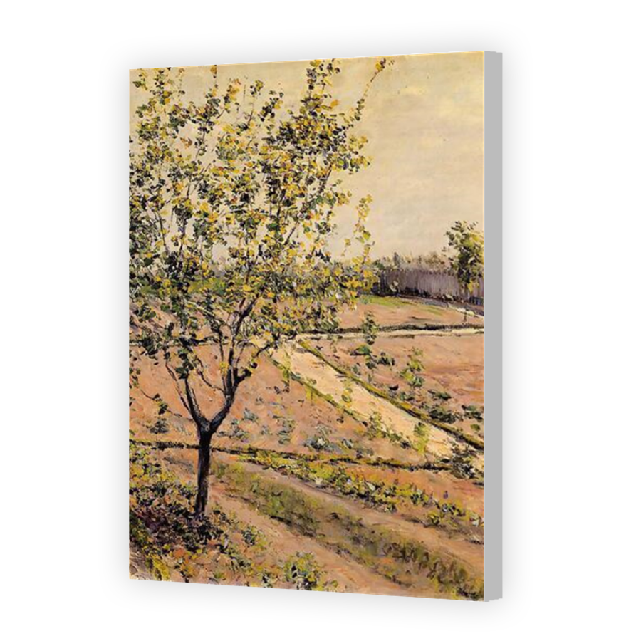 Thumbnail for Canvas - Coloured Canvas Wrap