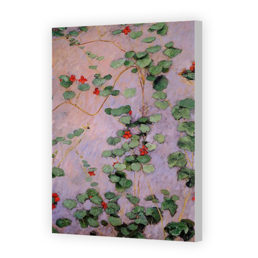 Thumbnail for Canvas - Coloured Canvas Wrap