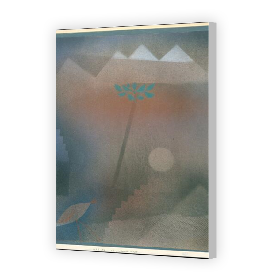 Thumbnail for Canvas - Coloured Canvas Wrap