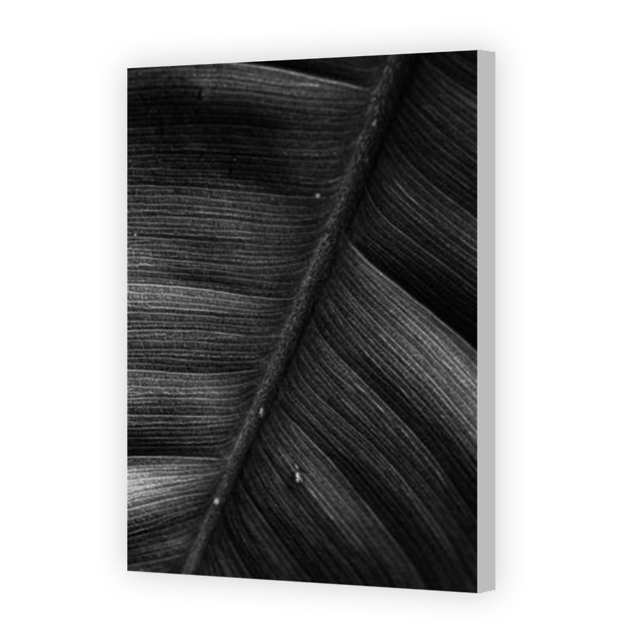 Thumbnail for Canvas - Coloured Canvas Wrap