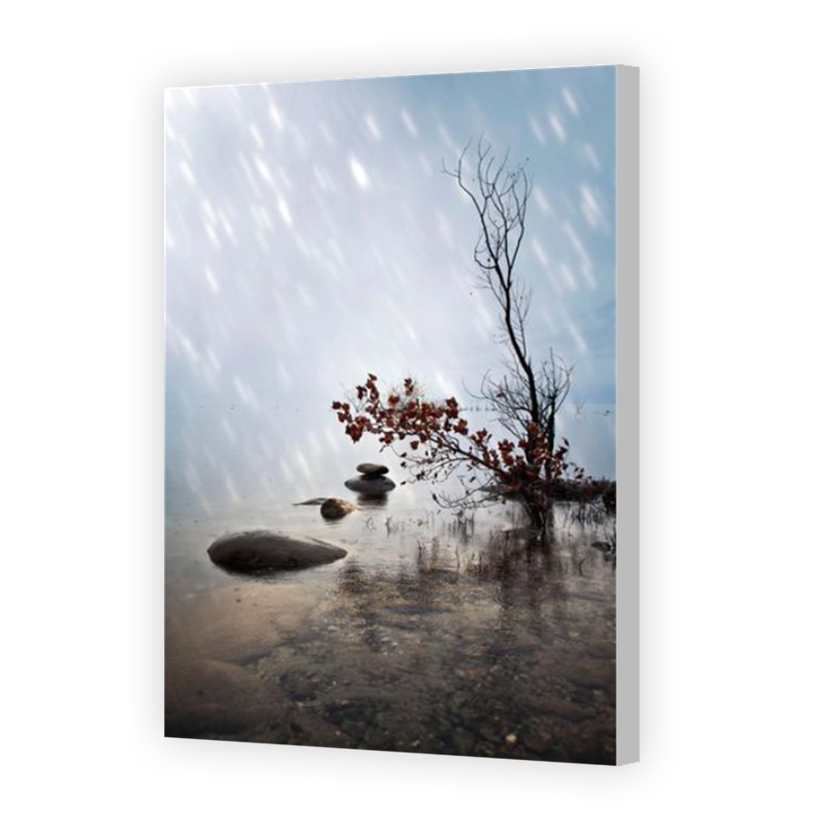 Thumbnail for Canvas - Coloured Canvas Wrap