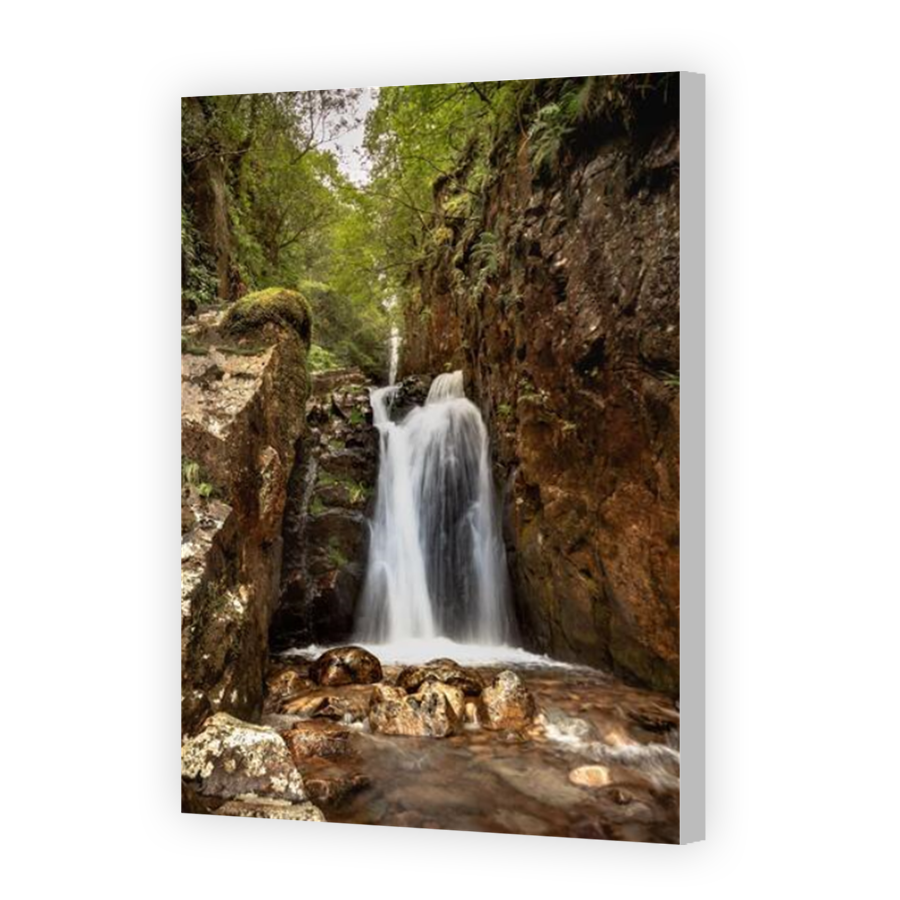 Thumbnail for Canvas - Coloured Canvas Wrap