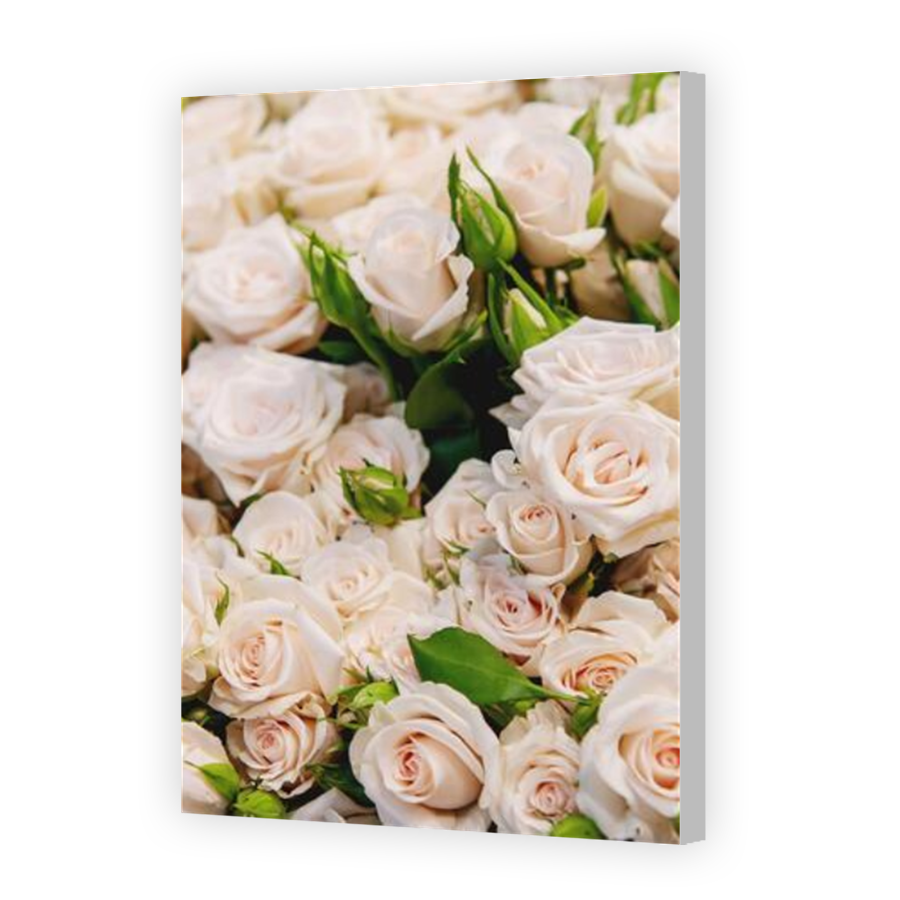 Thumbnail for Canvas - Coloured Canvas Wrap