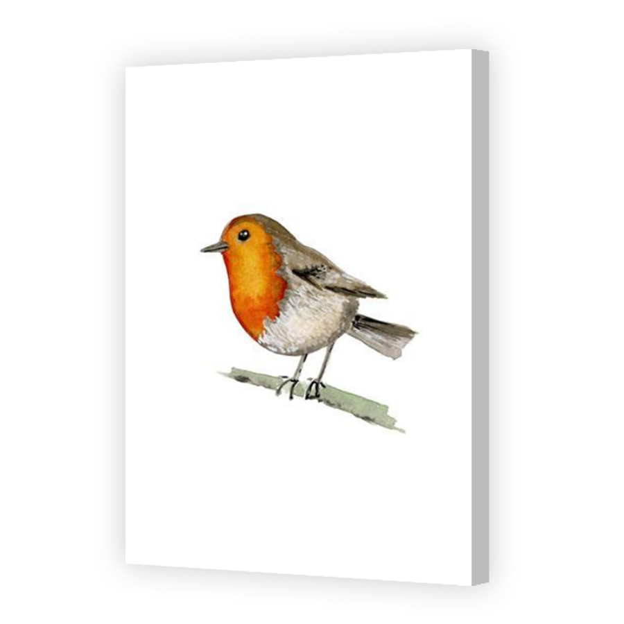 Thumbnail for Canvas - Coloured Canvas Wrap