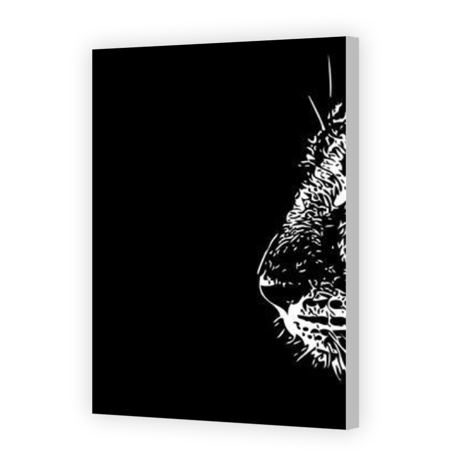 Thumbnail for Canvas - Coloured Canvas Wrap