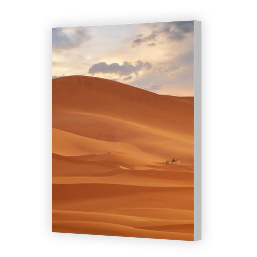 Thumbnail for Canvas - Coloured Canvas Wrap