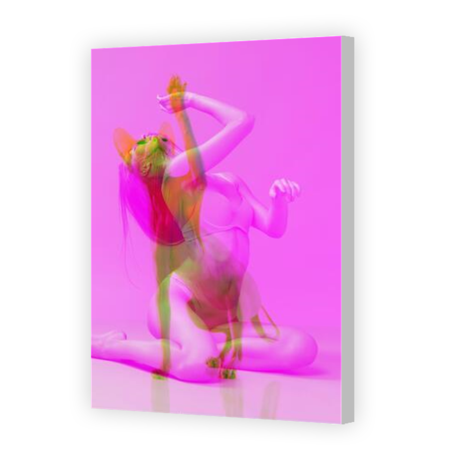 Thumbnail for Canvas - Coloured Canvas Wrap