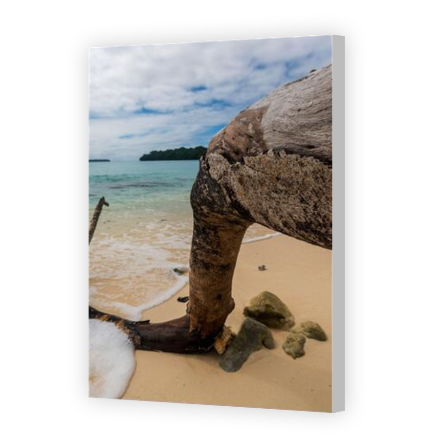 Thumbnail for Canvas - Coloured Canvas Wrap