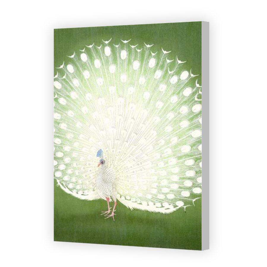 Thumbnail for Canvas - Coloured Canvas Wrap