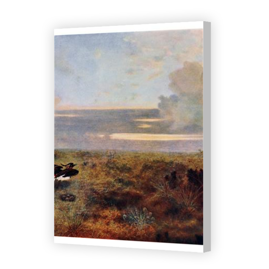 Thumbnail for Canvas - Coloured Canvas Wrap