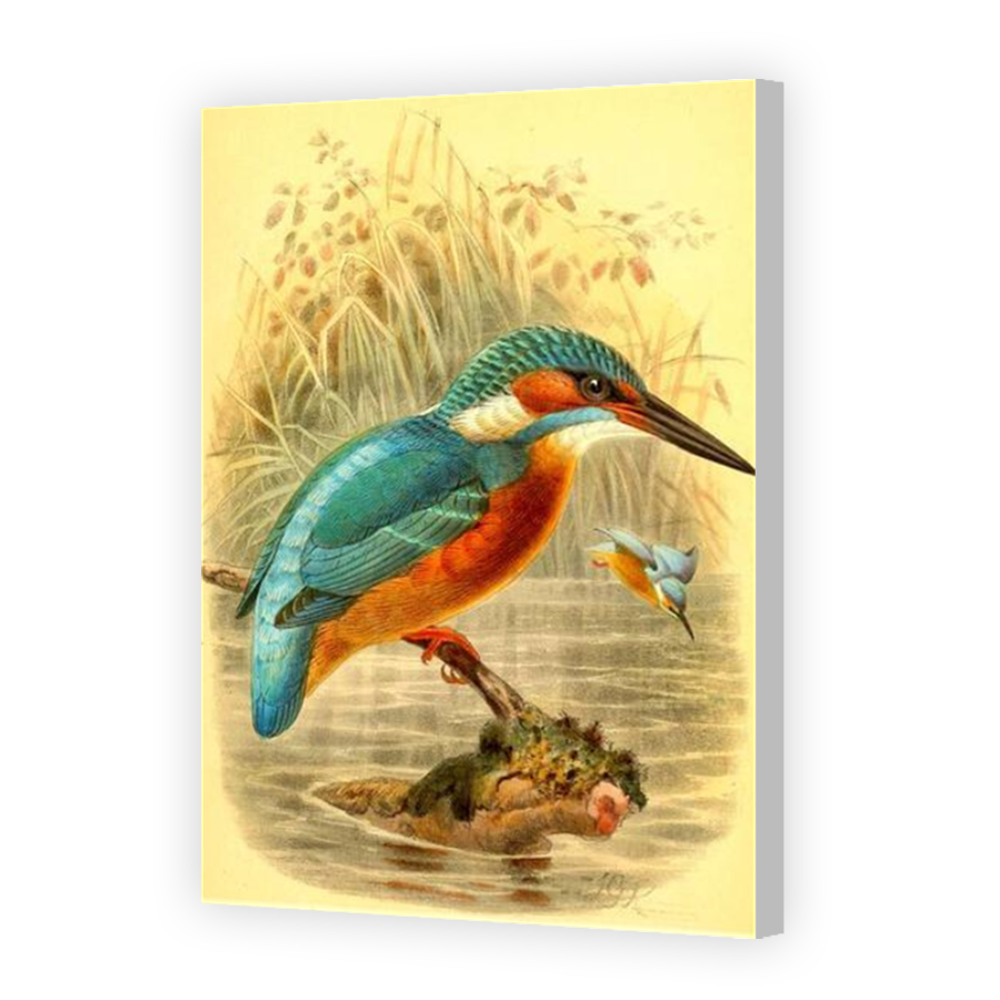 Thumbnail for Canvas - Coloured Canvas Wrap