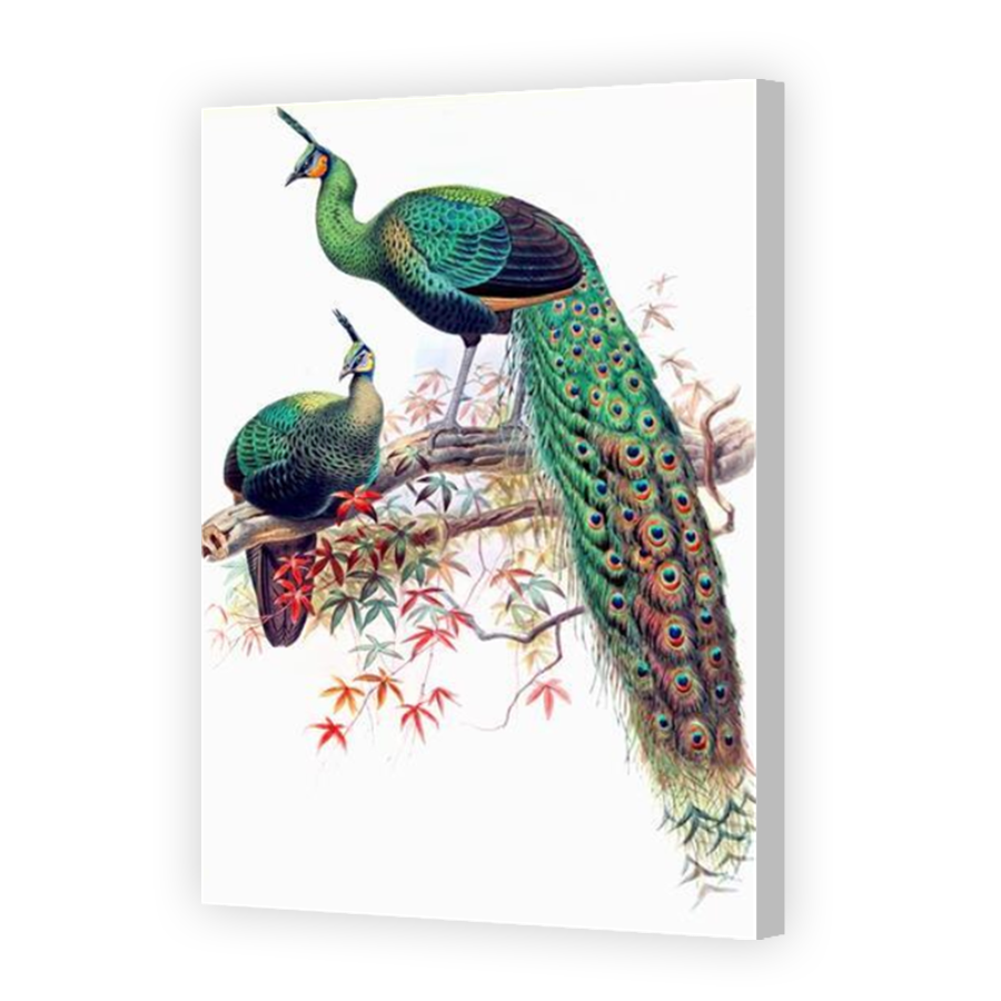 Thumbnail for Canvas - Coloured Canvas Wrap