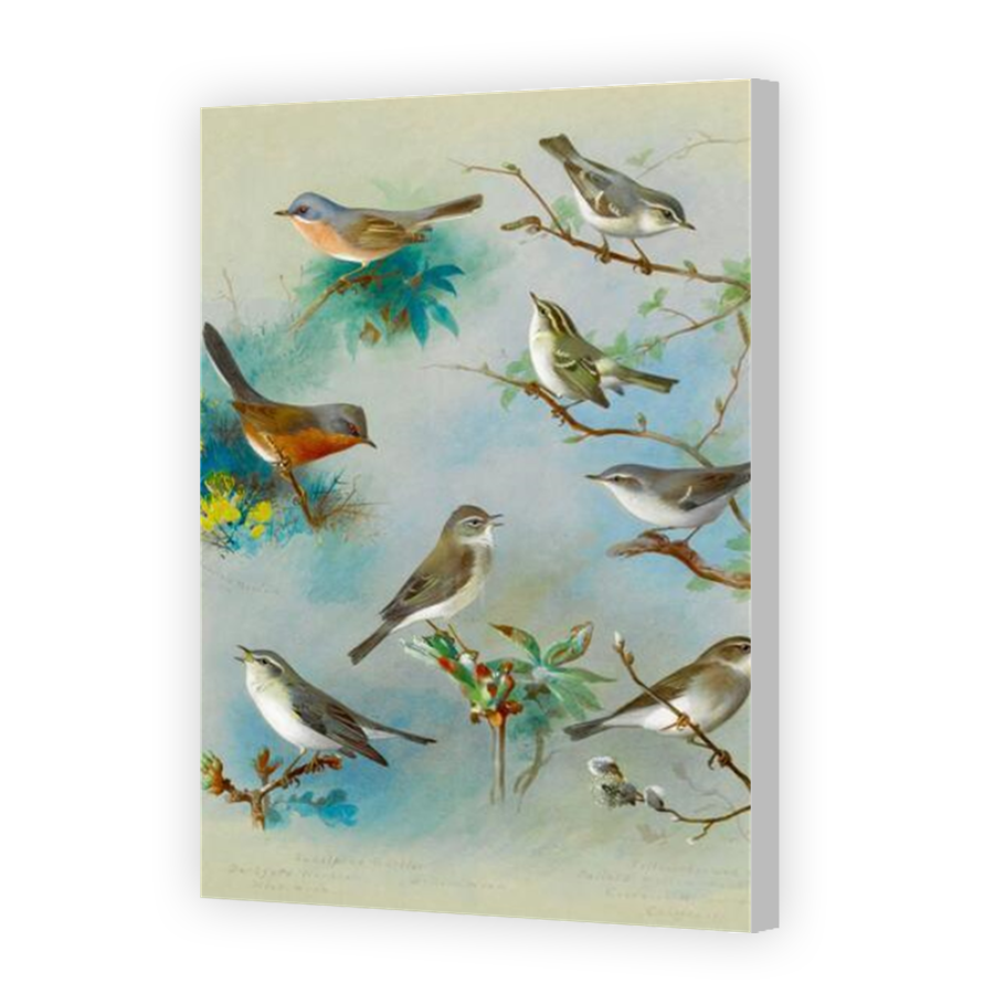 Thumbnail for Canvas - Coloured Canvas Wrap