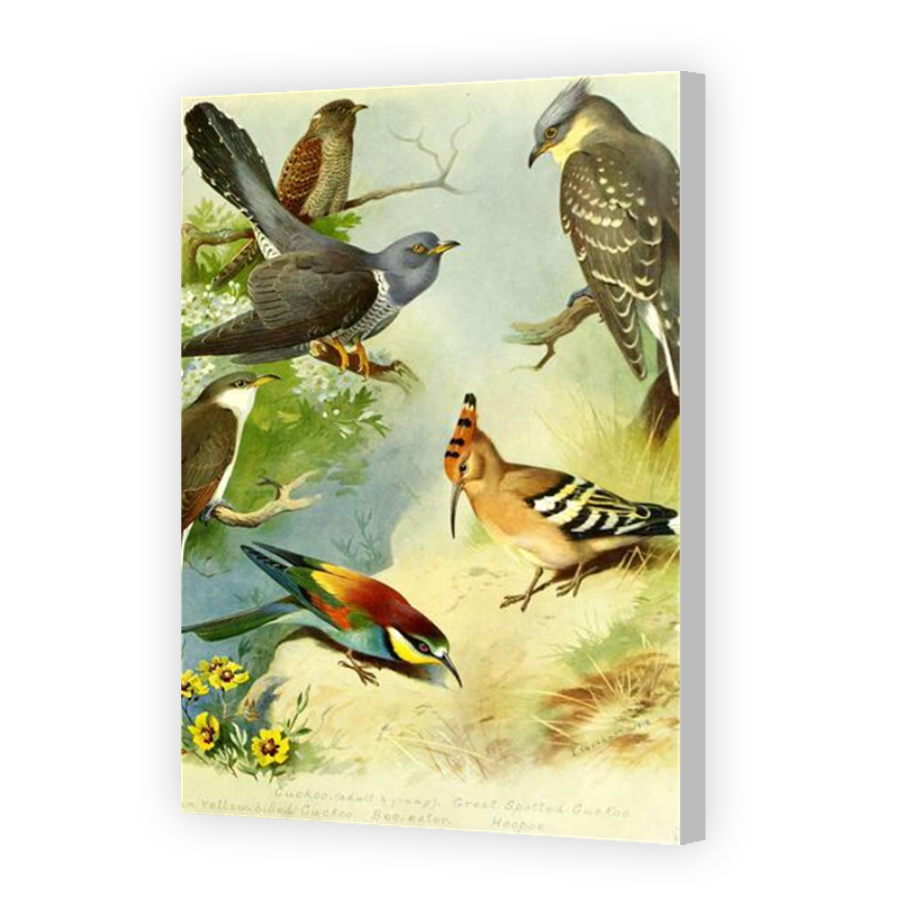 Thumbnail for Canvas - Coloured Canvas Wrap