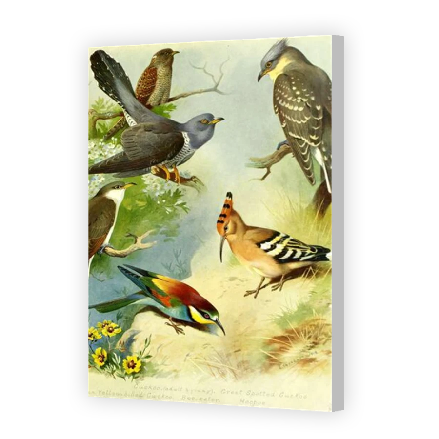 Thumbnail for Canvas - Coloured Canvas Wrap