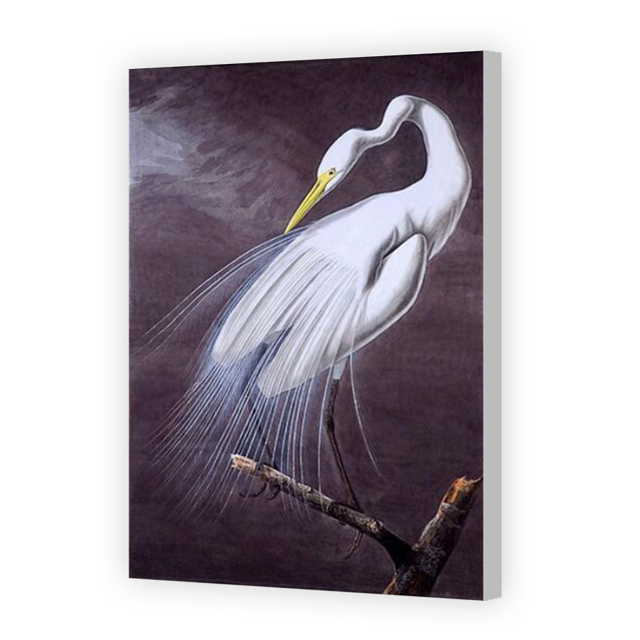 Thumbnail for Canvas - Coloured Canvas Wrap