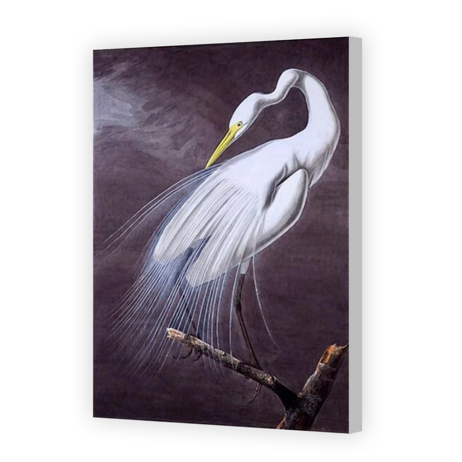 Thumbnail for Canvas - Coloured Canvas Wrap