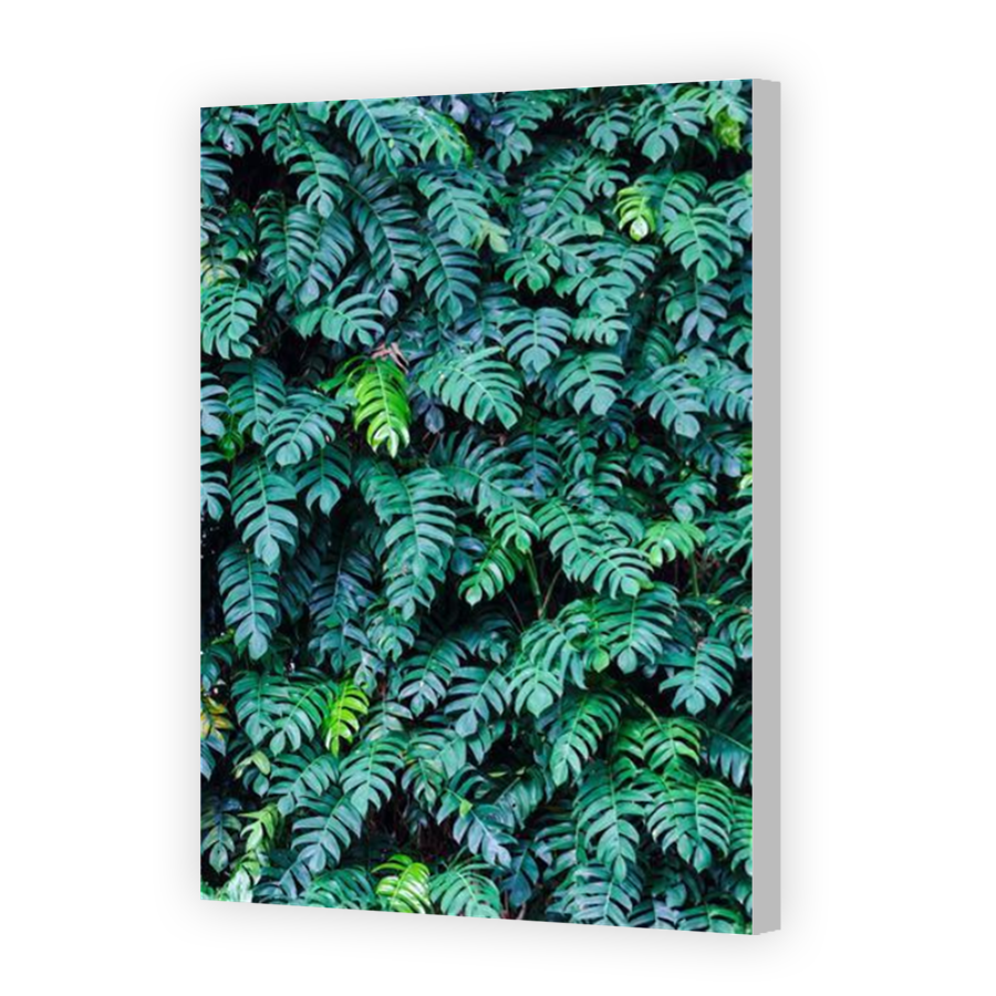 Thumbnail for Canvas - Coloured Canvas Wrap