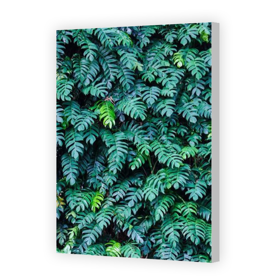 Thumbnail for Canvas - Coloured Canvas Wrap