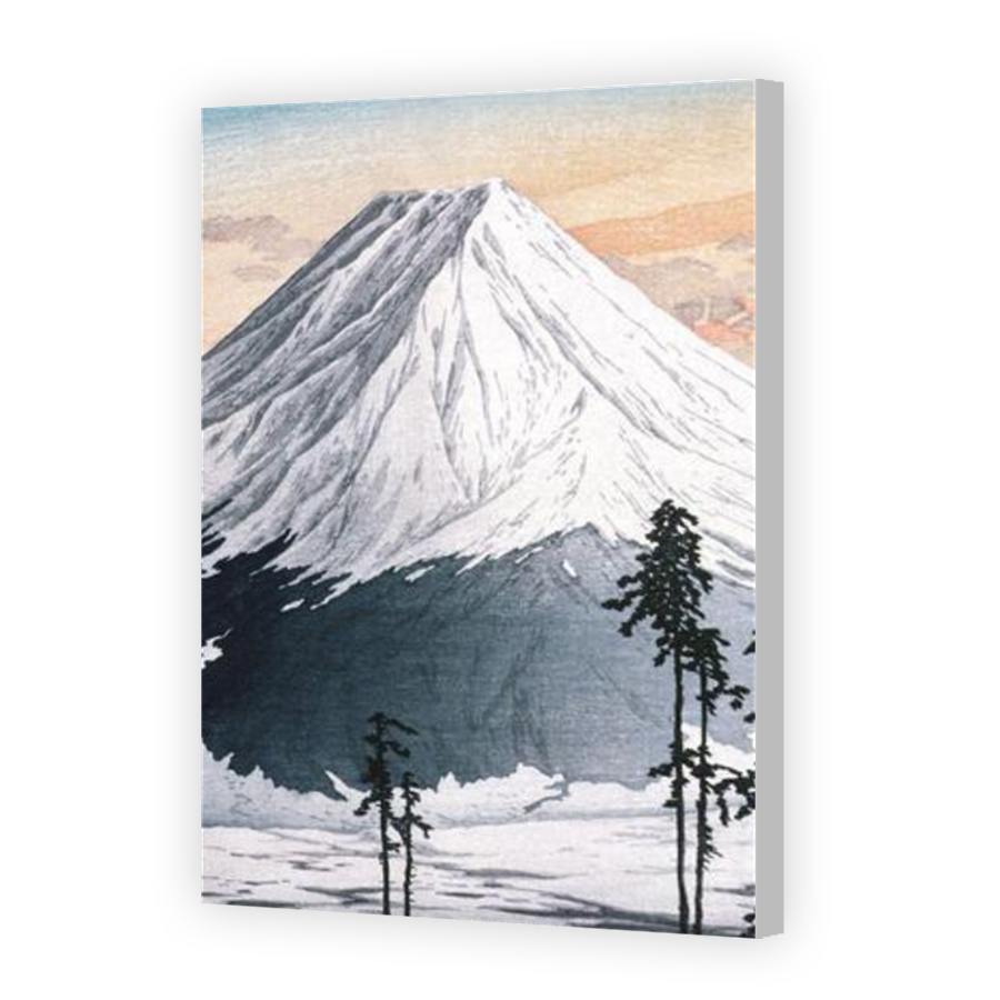 Thumbnail for Canvas - Coloured Canvas Wrap
