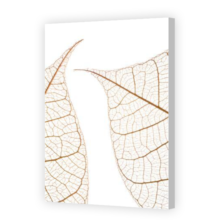 Thumbnail for Canvas - Coloured Canvas Wrap