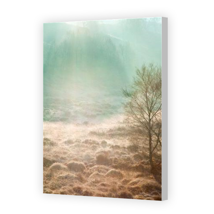Thumbnail for Canvas - Coloured Canvas Wrap