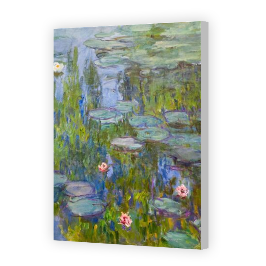 Thumbnail for Canvas - Coloured Canvas Wrap