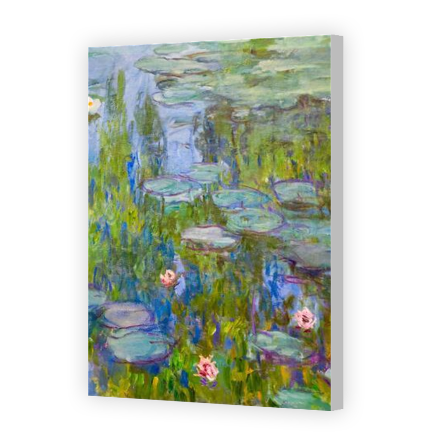 Thumbnail for Canvas - Coloured Canvas Wrap