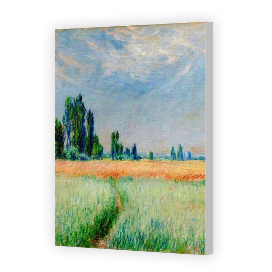 Thumbnail for Canvas - Coloured Canvas Wrap