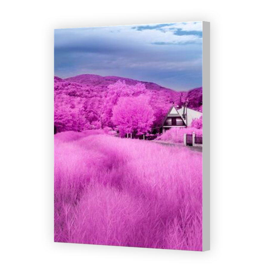 Thumbnail for Canvas - Coloured Canvas Wrap