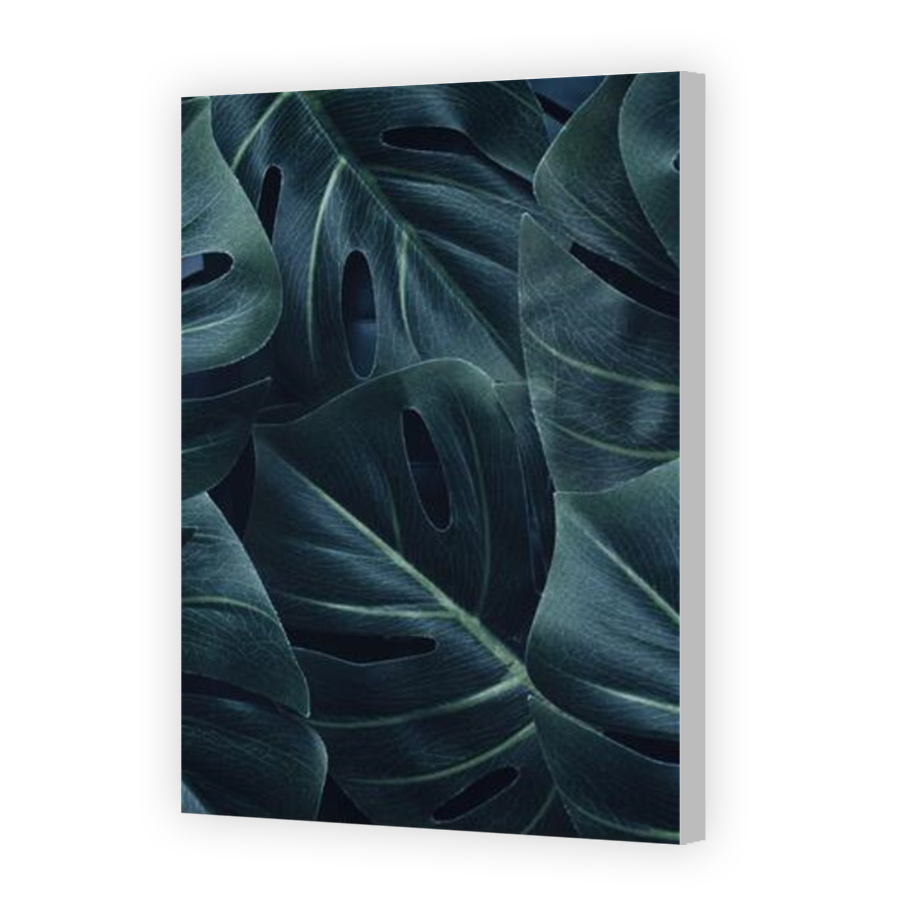 Thumbnail for Canvas - Coloured Canvas Wrap