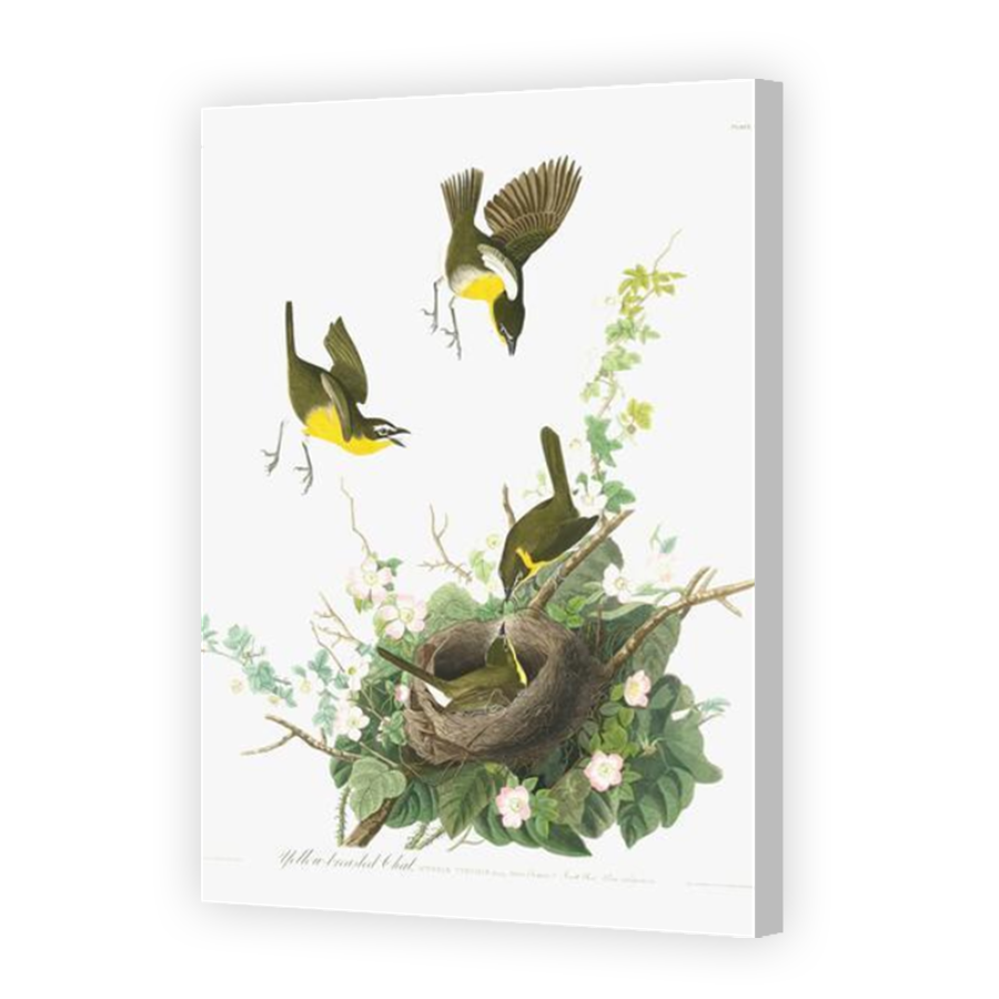 Thumbnail for Canvas - Coloured Canvas Wrap
