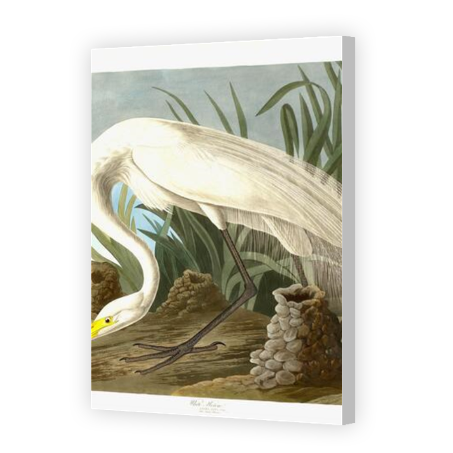 Thumbnail for Canvas - Coloured Canvas Wrap