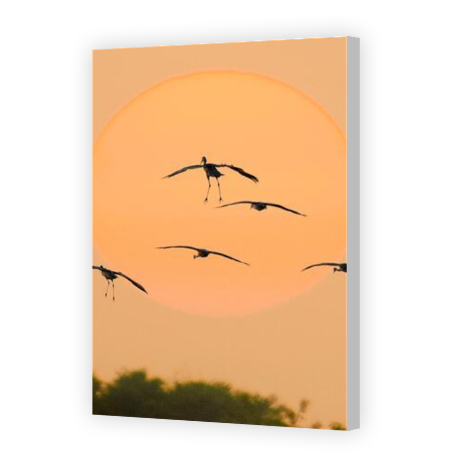 Thumbnail for Canvas - Coloured Canvas Wrap