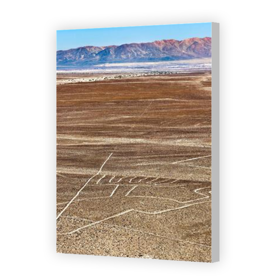 Thumbnail for Canvas - Coloured Canvas Wrap