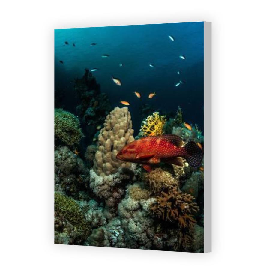 Thumbnail for Canvas - Coloured Canvas Wrap