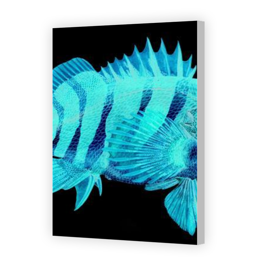 Thumbnail for Canvas - Coloured Canvas Wrap