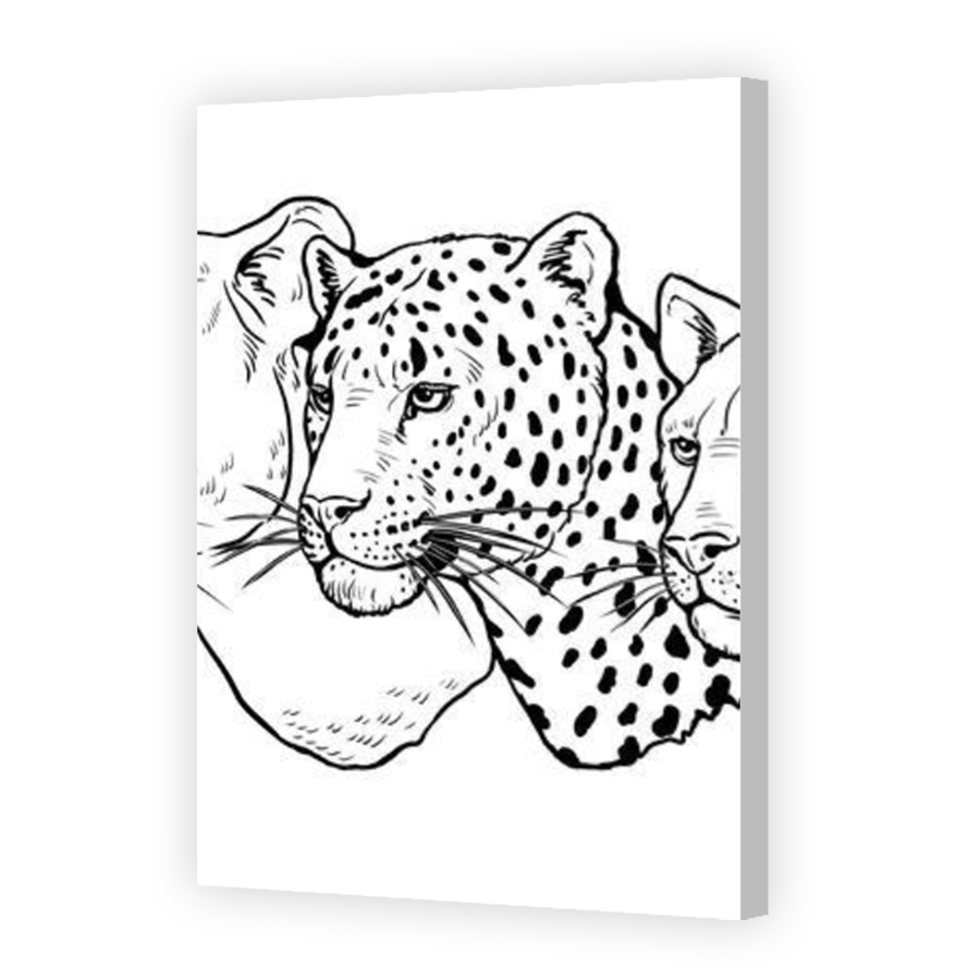 Thumbnail for Canvas - Coloured Canvas Wrap