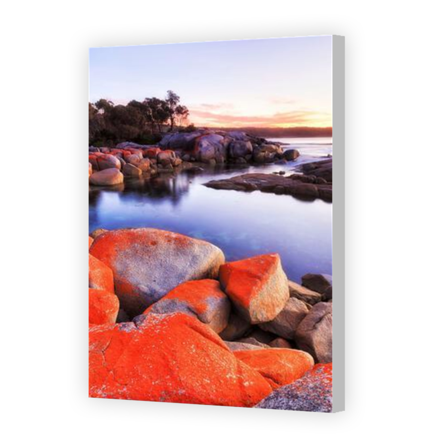 Thumbnail for Canvas - Coloured Canvas Wrap