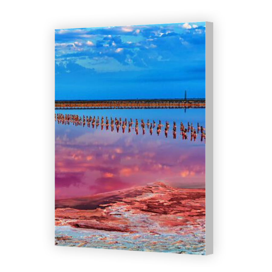 Thumbnail for Canvas - Coloured Canvas Wrap