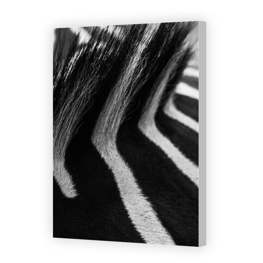 Thumbnail for Canvas - Coloured Canvas Wrap