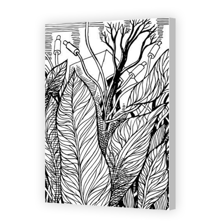 Thumbnail for Canvas - Coloured Canvas Wrap