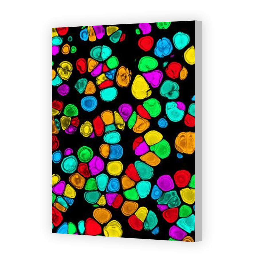 Thumbnail for Canvas - Coloured Canvas Wrap