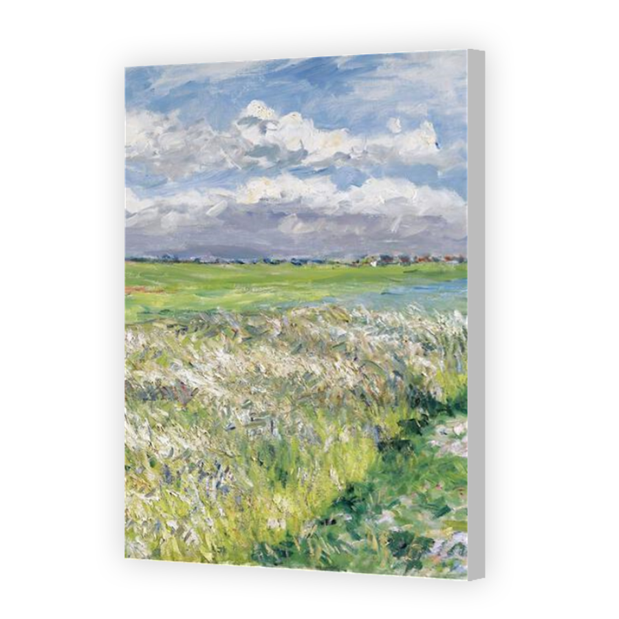 Thumbnail for Canvas - Coloured Canvas Wrap