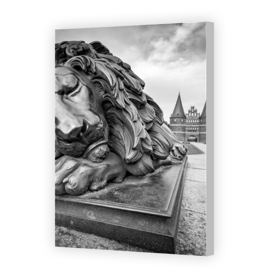 Thumbnail for Canvas - Coloured Canvas Wrap