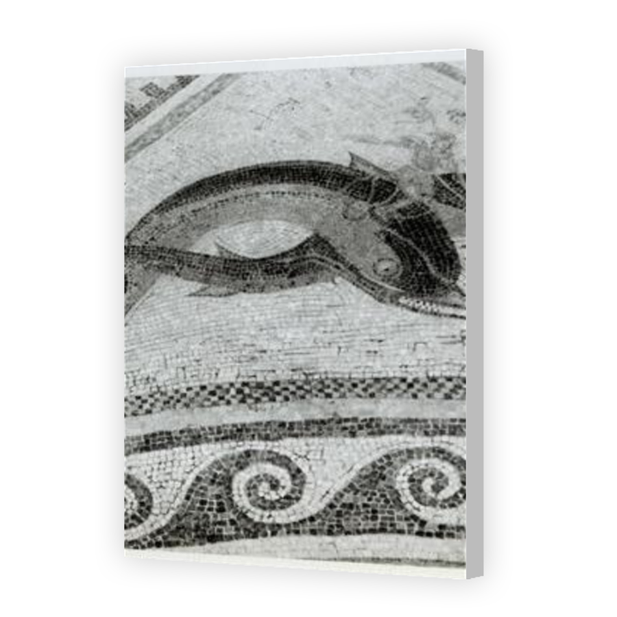 Thumbnail for Canvas - Coloured Canvas Wrap