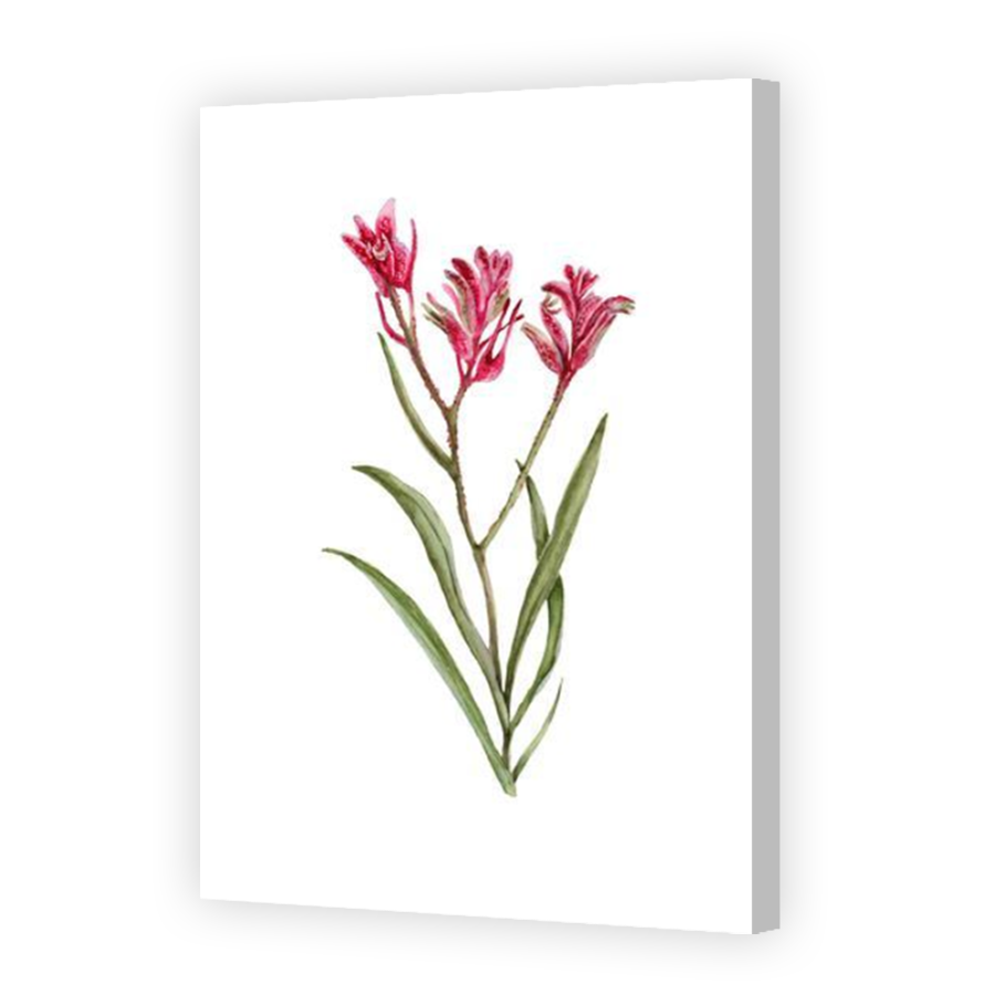 Thumbnail for Canvas - Coloured Canvas Wrap