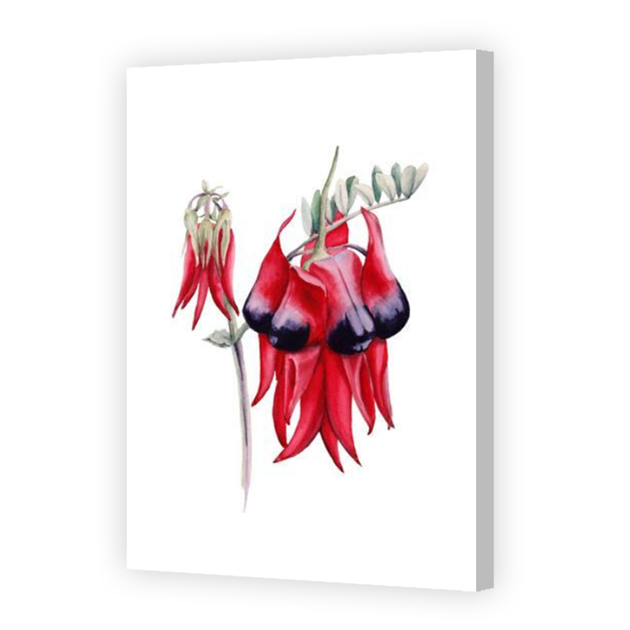 Thumbnail for Canvas - Coloured Canvas Wrap