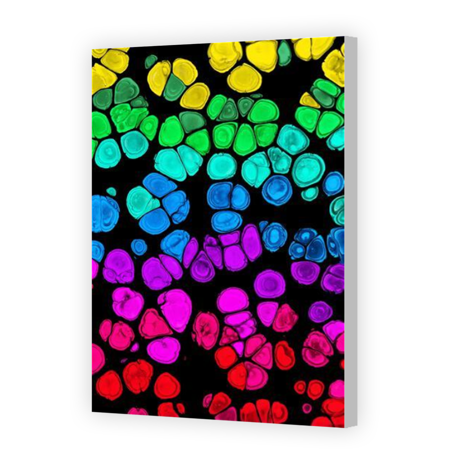 Thumbnail for Canvas - Coloured Canvas Wrap
