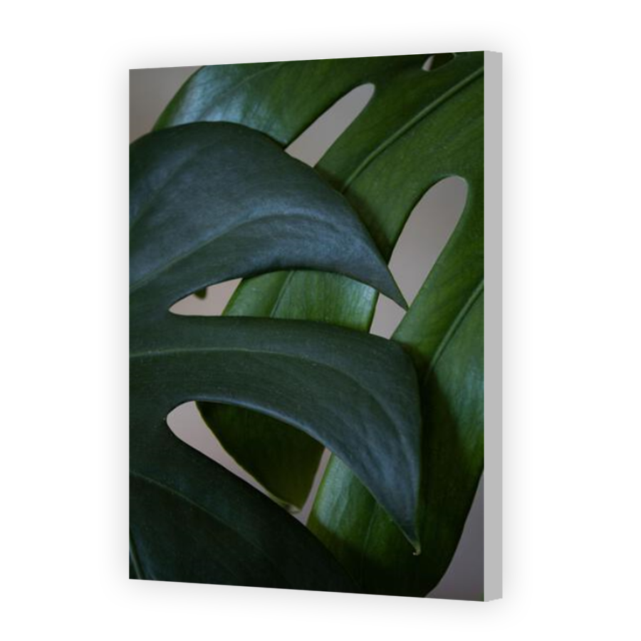 Thumbnail for Canvas - Coloured Canvas Wrap